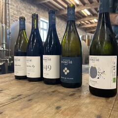 Beaujolais Wine Experiences_Lyon 4ème