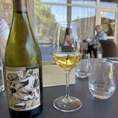 Beaujolais Wine Experiences_Lyon 4ème