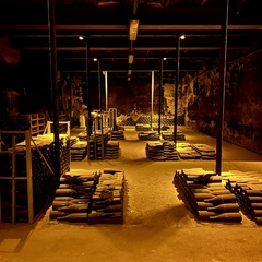 Beaujolais Wine Experiences_Lyon 4ème