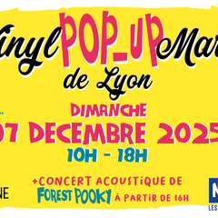 Vinyl Pop Up Market de Lyon_Villeurbanne