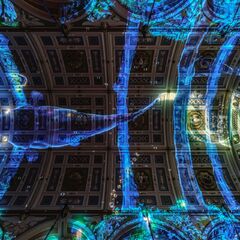 Flow - Expérience immersive de spectacle lumineux_Lyon 2ème