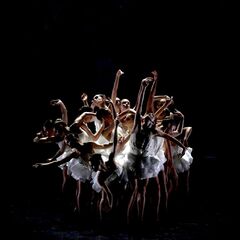 Le Lac des cygnes - Ballet Preljocaj_Lyon 5ème