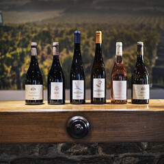 Domaine de Prapin_Taluyers