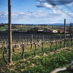 Domaine de Prapin_Taluyers