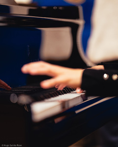 Copyright Hugo Sainte-Rose