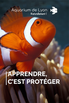 Copyright DR AQUARIUM DE LYON