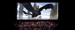 Copyright How To Train Your Dragon © 2010 DreamWorks Animation LLC.  All Rights Reserved.