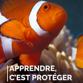 Copyright DR AQUARIUM DE LYON