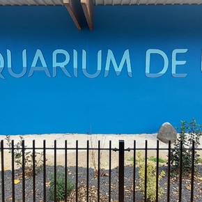 Copyright Aquarium de Lyon
