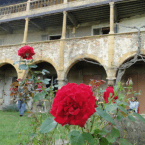 Copyright Mairie de Pierre-Bénite