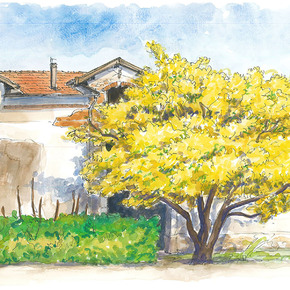 Copyright Alexandra Lolivrel