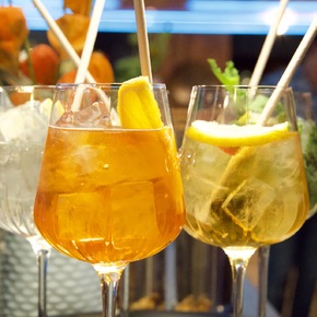 Copyright Crazy Salmon