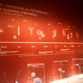 Copyright Musée de sciences biologiques Dr Mérieux