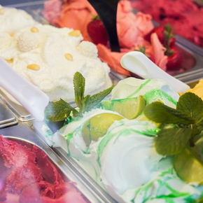 Copyright Nougatella