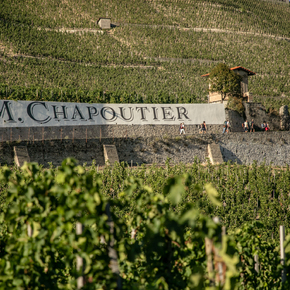 Copyright Ecole M. CHAPOUTIER