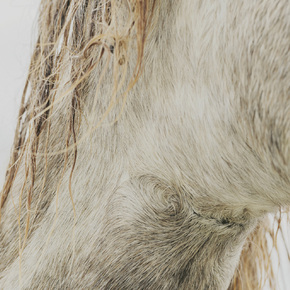 Copyright Letizia Le Fur