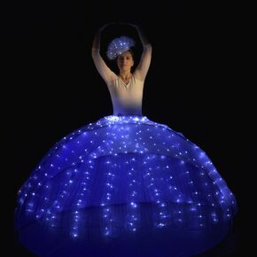 Copyright Compagnie Rayon de lune