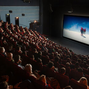 Copyright Henry Bizot