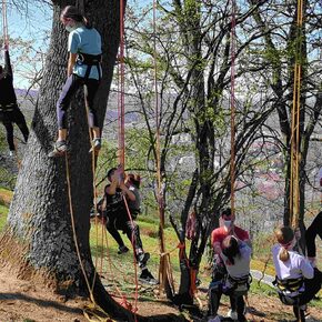 Copyright Mille natures