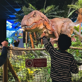 Copyright Mini World