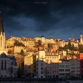 Copyright Lyon & Grace