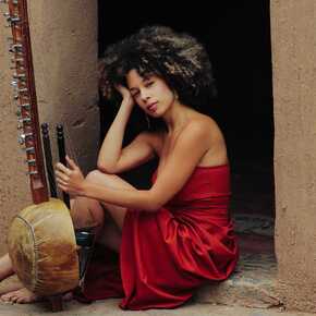 Copyright Diane Moyssan