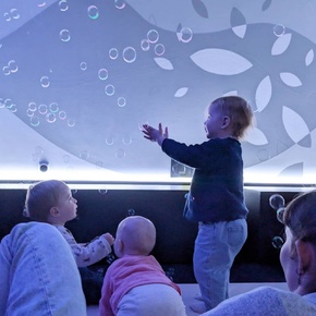 Copyright © musée des Confluences - S. Roux