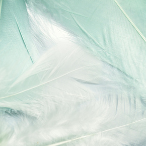 Copyright © pexels Artempodrez