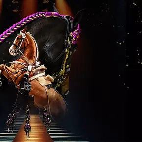 Copyright LDLC Arena