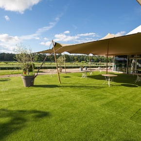 Copyright Les hippodromes de Lyon