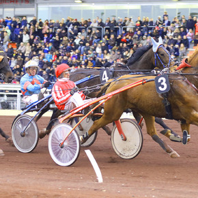 Copyright Hippodrome de Lyon-Carré de Soie