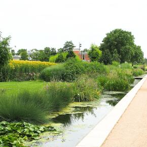 Copyright EcoNature/Céline Céline Saccardi