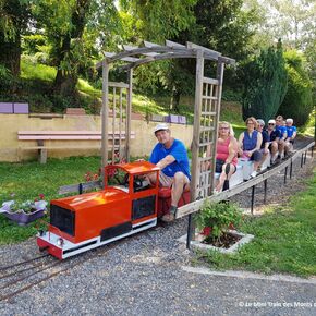 Copyright Mini Train