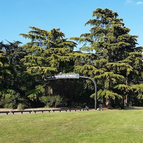 Copyright ©Wikipedia commons