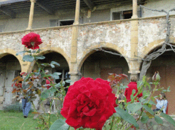 Copyright Mairie de Pierre-Bénite