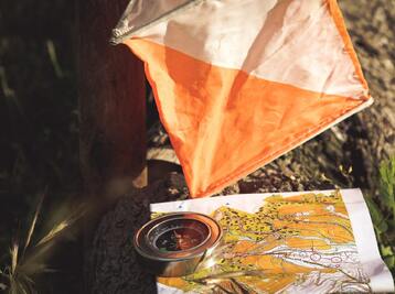 Copyright Jametlene Reskp