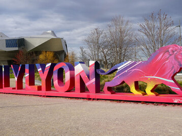 Copyright ©ONLYLYON