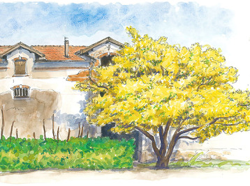 Copyright Alexandra Lolivrel