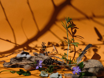 Copyright Florence Croizier