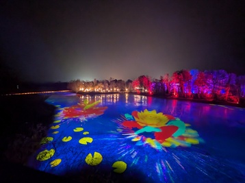 Copyright Claire Curt