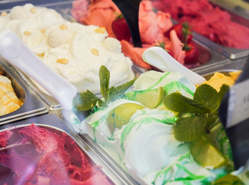 Copyright Nougatella