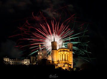 Copyright @david_lemoine_photos