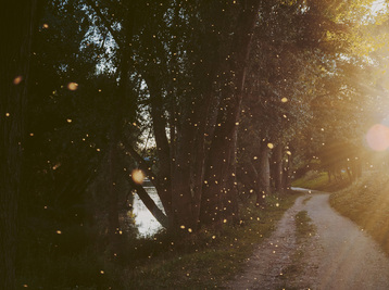 Copyright Letizia Le Fur