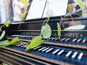 Copyright William Sundfor