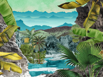 Copyright Judith Chomel