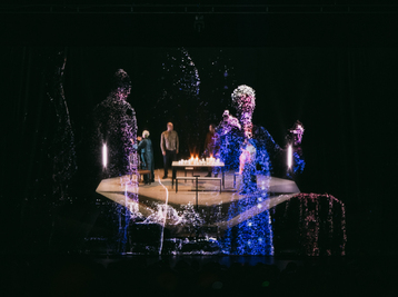 Copyright David Gallard