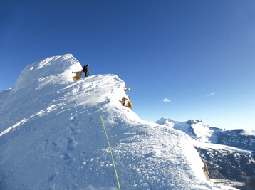 Copyright Henry Bizot