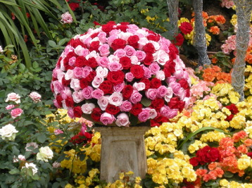 Copyright Florissimo