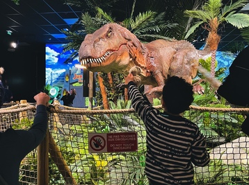 Copyright Mini World