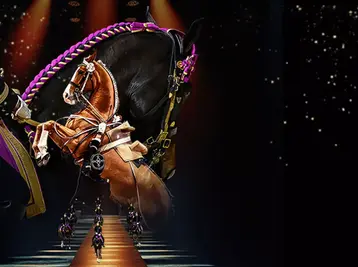 Copyright LDLC Arena